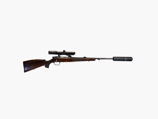 Steyr, .30-06