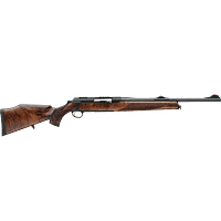 Sauer 303