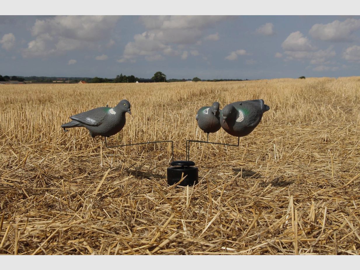 Carosello Lockvogel Tripple Motion