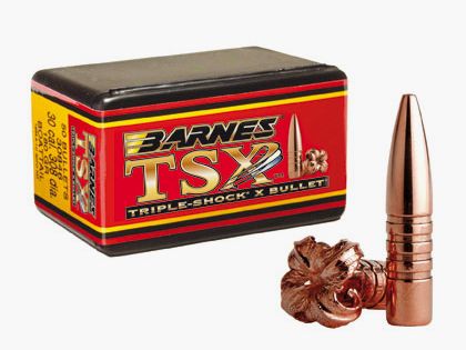 BARNES TSX FB CAL 22 .224 55 GR CONF DA 50 PZ