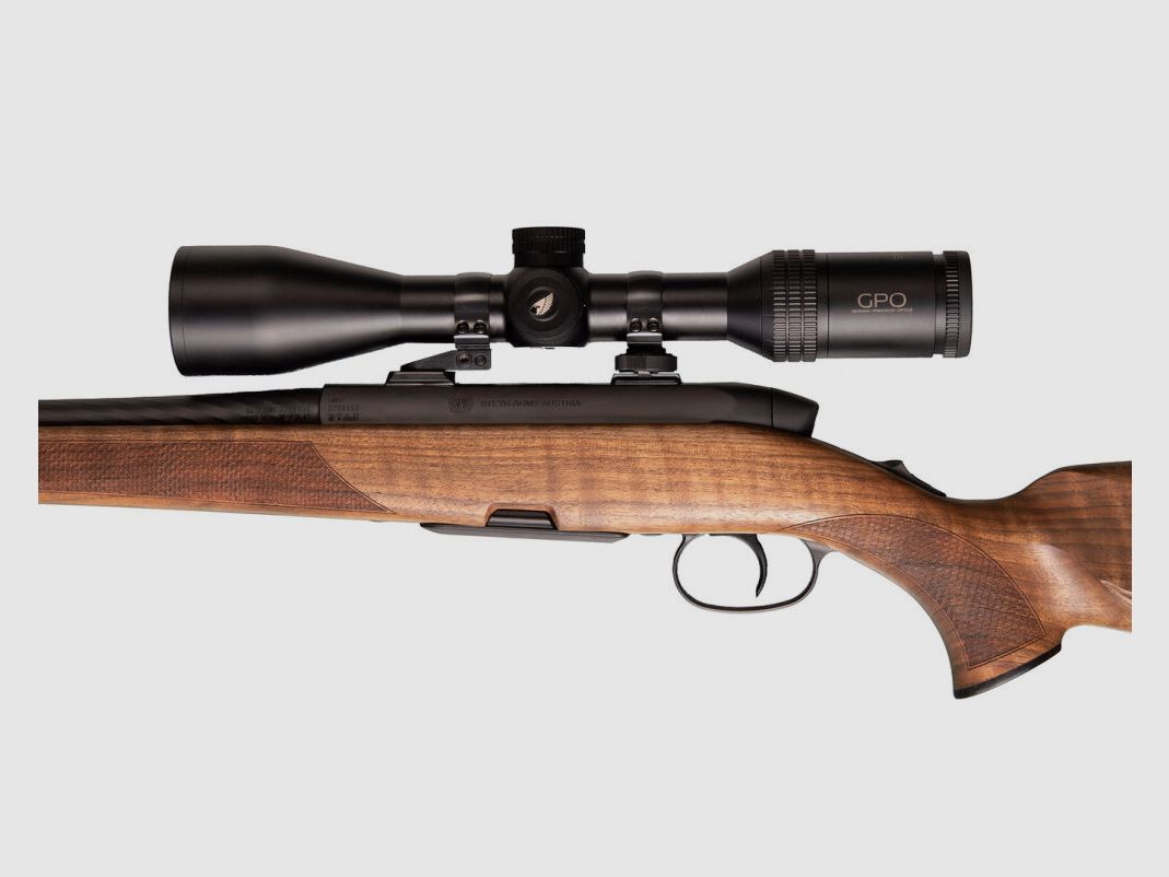 Steyr SM12 Goiserer inkl GPO 2-12x50