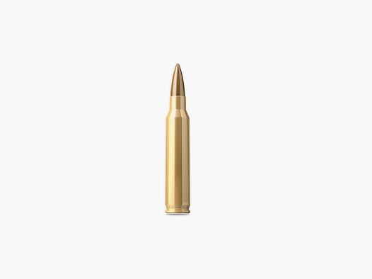 SM .223Rem FMJ 55gr/3,56g NATO Box 1250 Schuss