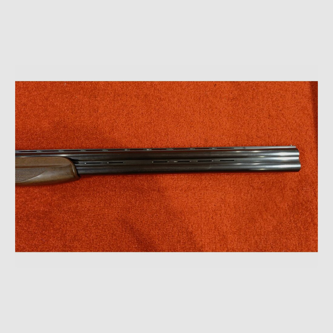 Frankonia Caccia 12/76