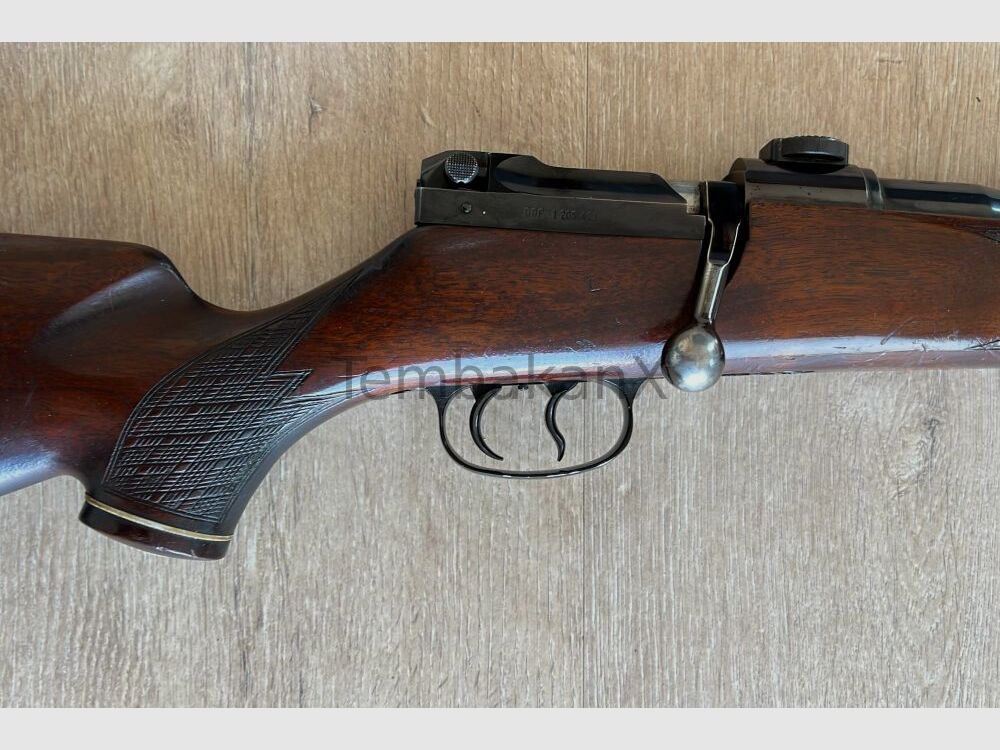 Mauser Mod. 66 .30-06Spring