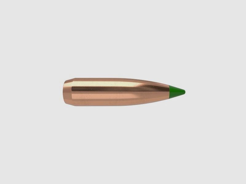 Nosler Hunting Cal. .30 Ballistic Tip Bullet / 168 Grain #30168
