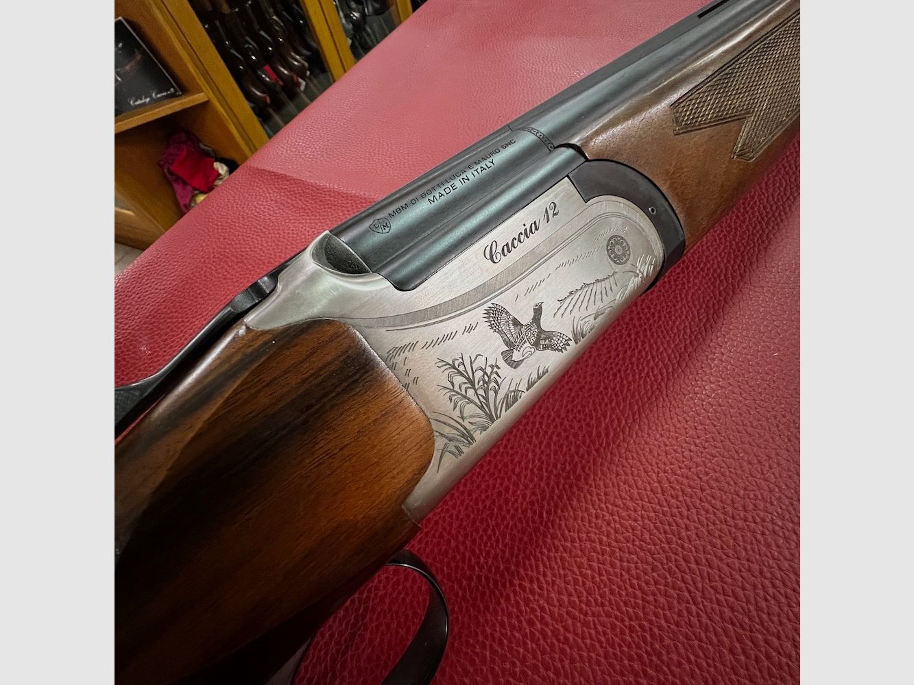 MBM Chasse 12, image 2 sur 7