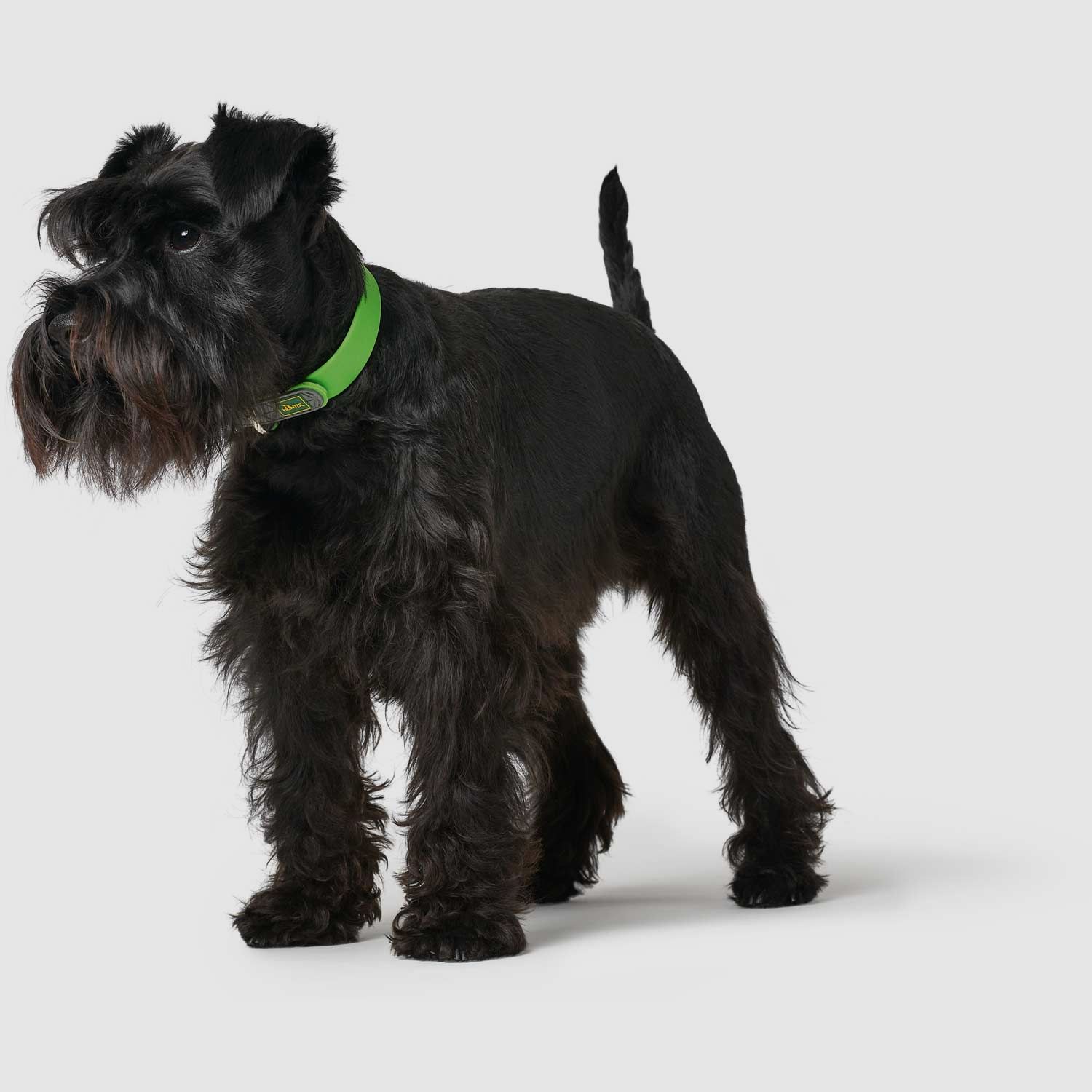 Hunter Halsband Convenience