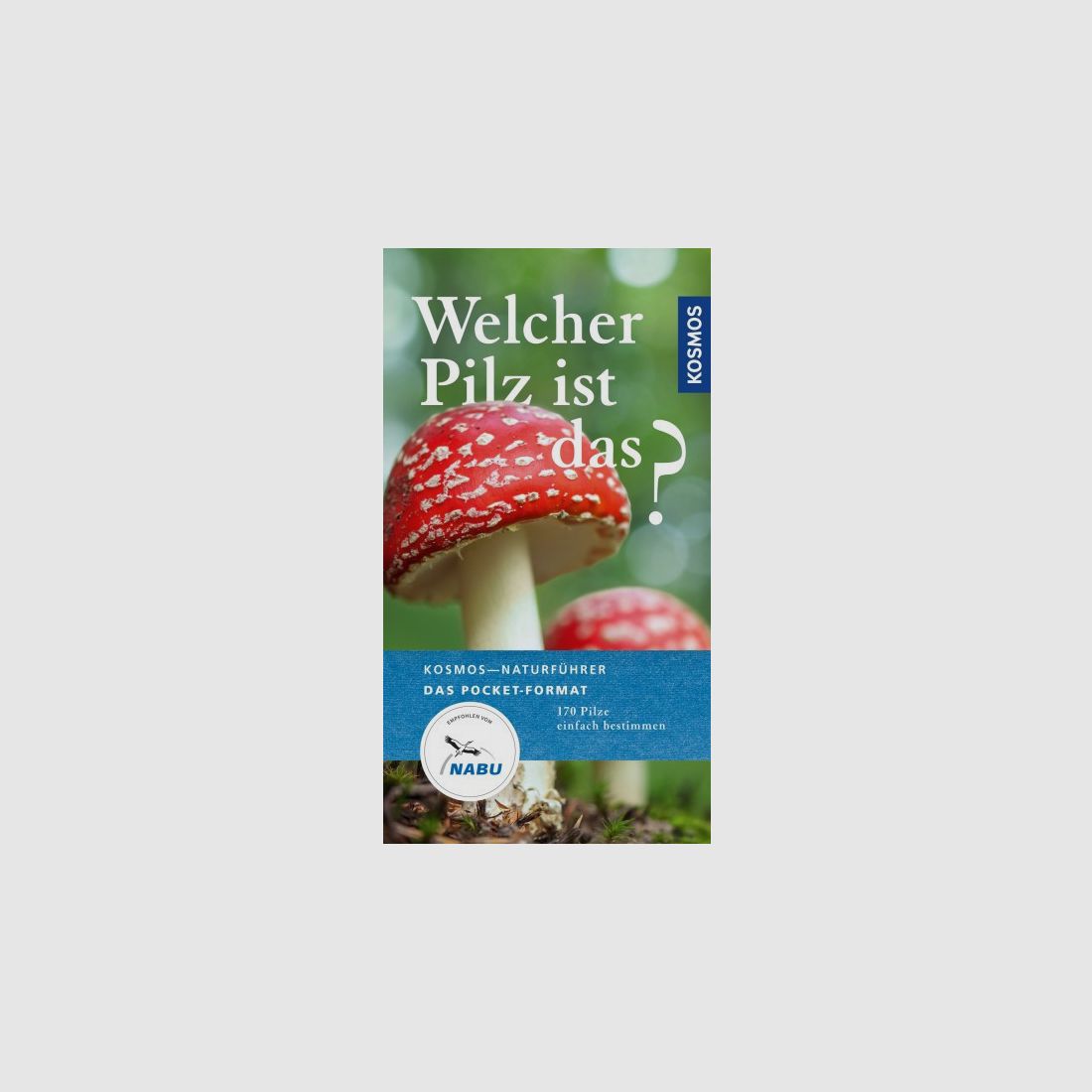 WELCHER PILZ IST DAS? - 170 PILZE BESTIMMEN