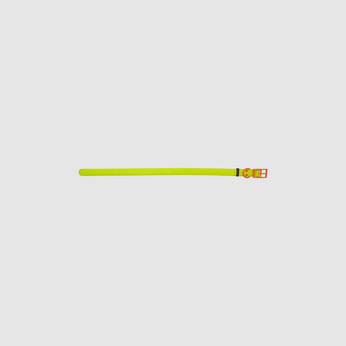 HP&G Hundehalsband 25mm Gelb