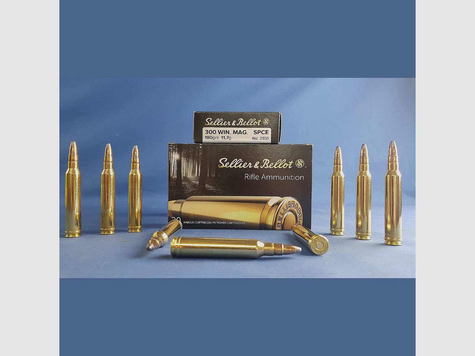 Sellier & Bellot .300 Win. Mag. Soft Point Core Expanding 11,7g/180grs.