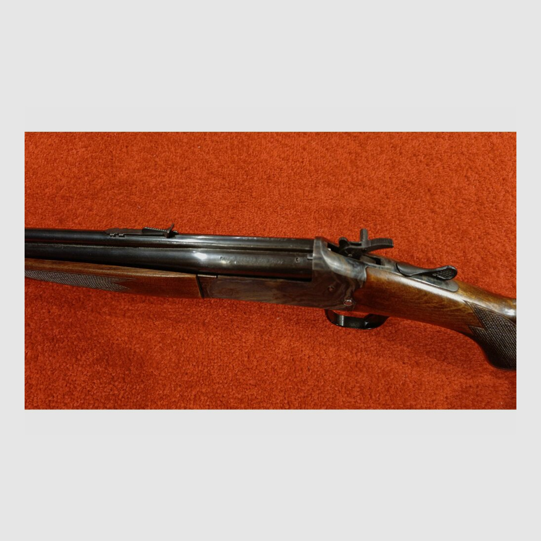 Savage unbekannt .22lr;.410/76
