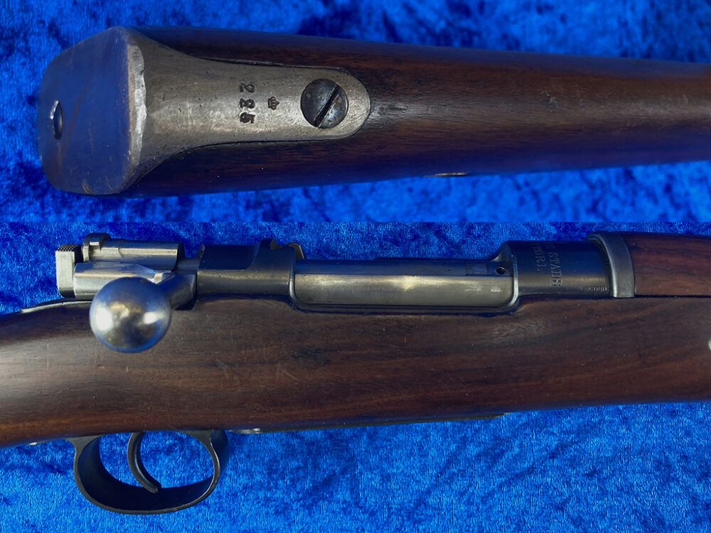 Carl Gustafs 1901