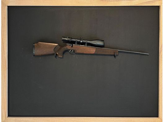 Krico match rifle caliber .22 Hornet with Kahles 3-12x56