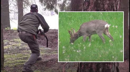 Opening Day Roe Buck Hunt In Germany (Rehbockjagd 1. Mai), Season 5 V35