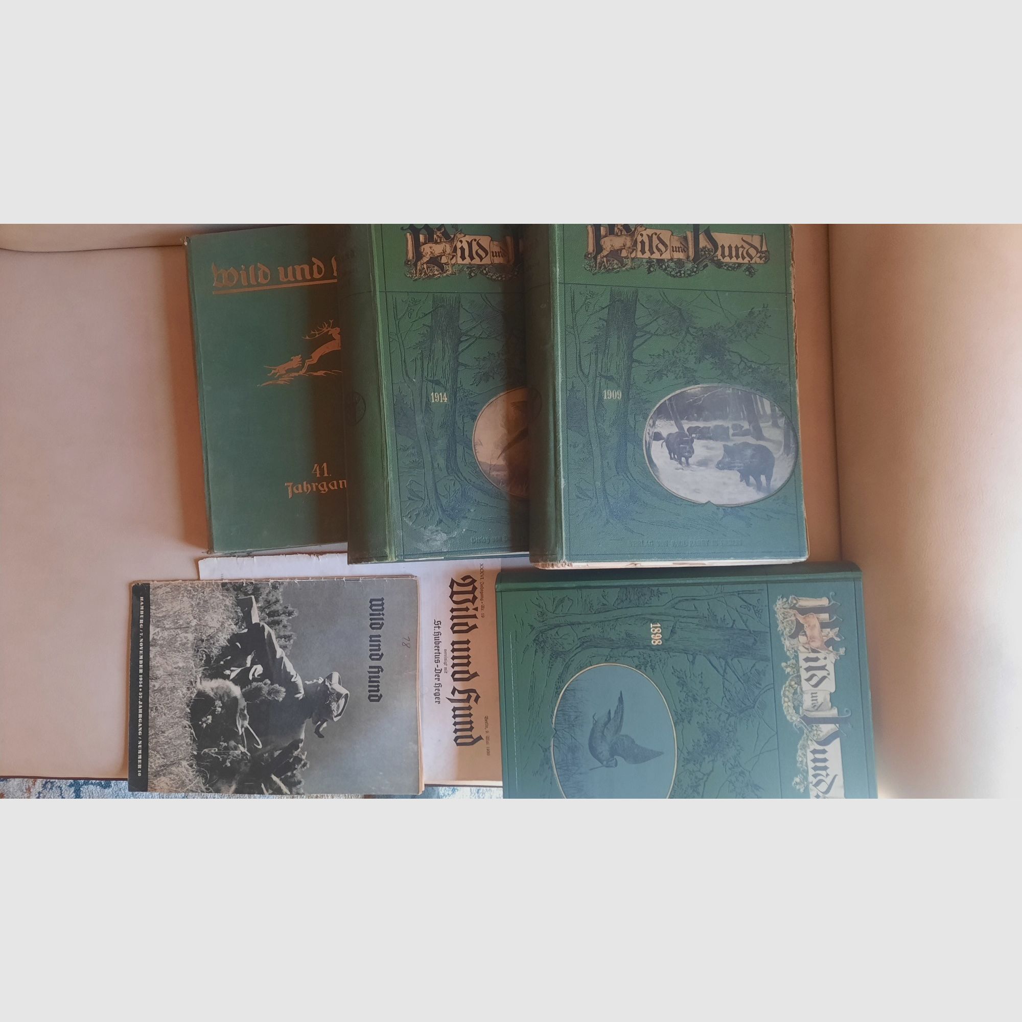 Livres annuels historiques originaux de Wild und Hund
