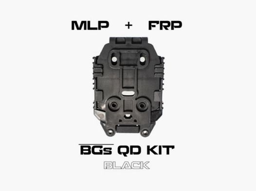 BGs QD Mounting System