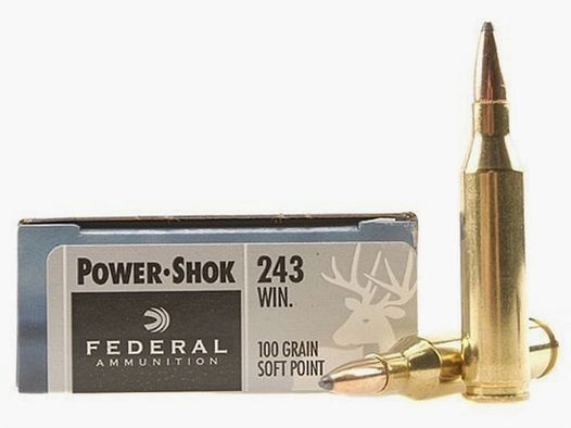 Federal Power-Shok .243 Win. 100GR JSP 20 cartouches