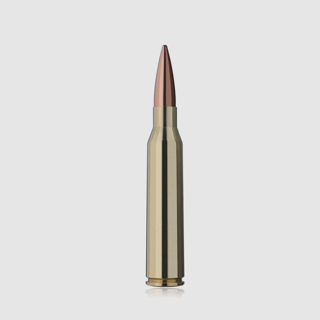 RWS Target Elite Plus 300grs 20St .338LapMag