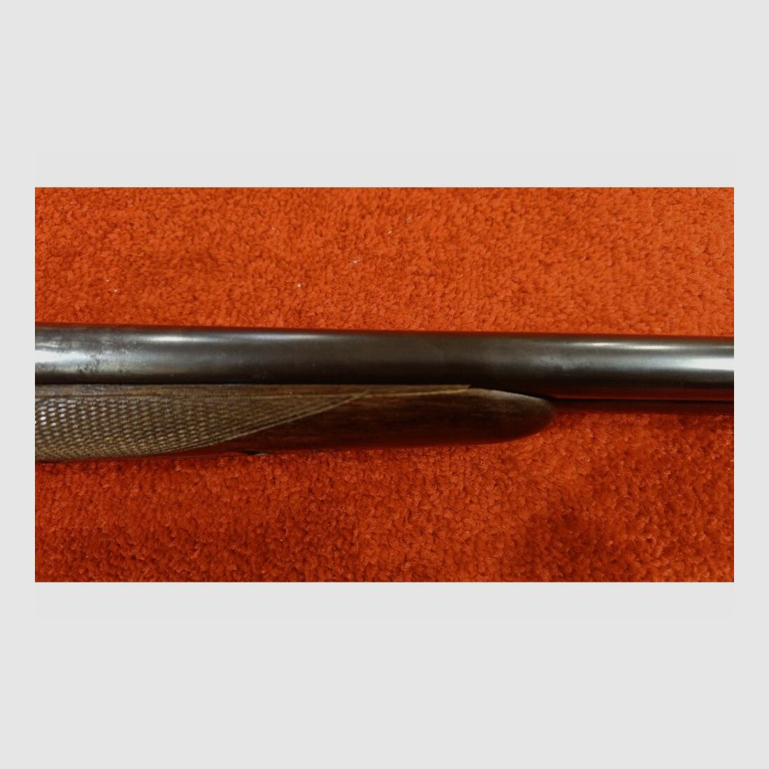 Aya senza 12/70;12/70