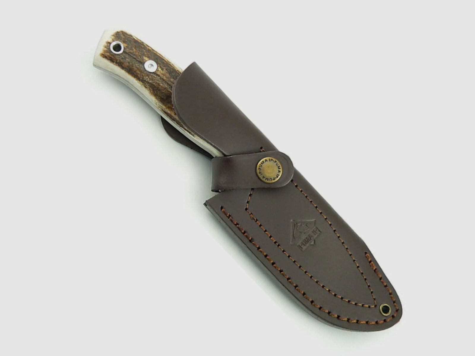 PUMA IP cervato, jeleń, zdjęcie 3 z 7