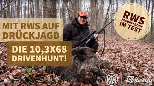 RWS 10,3x68 Drivenhunt: Wir sind auf Drückjagd in Kroatien!