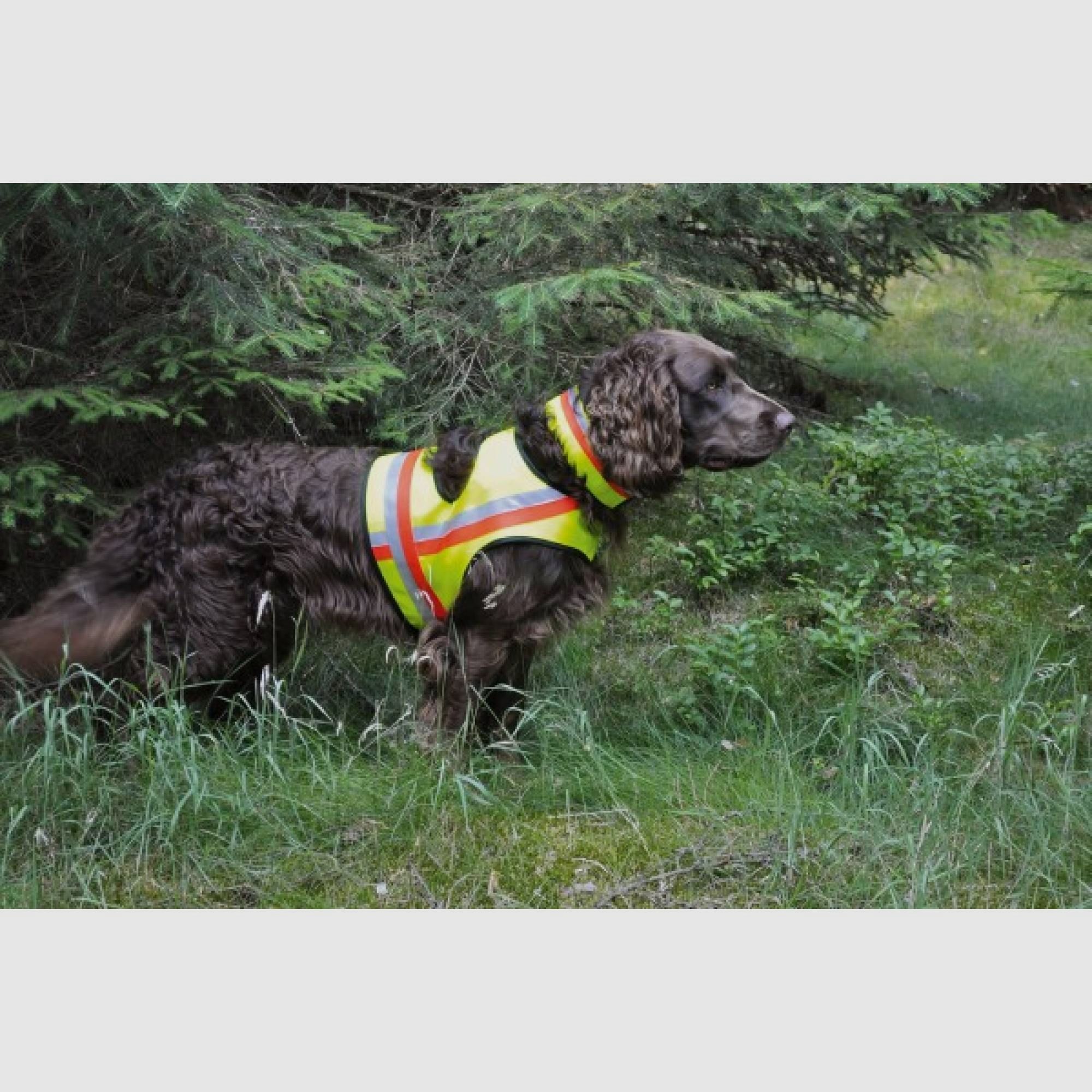 Dominicus Hundewarnweste mit 2 Klettverschlüssen M