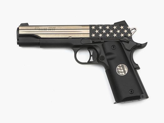 Sig Sauer 1911 Stand 45ACP