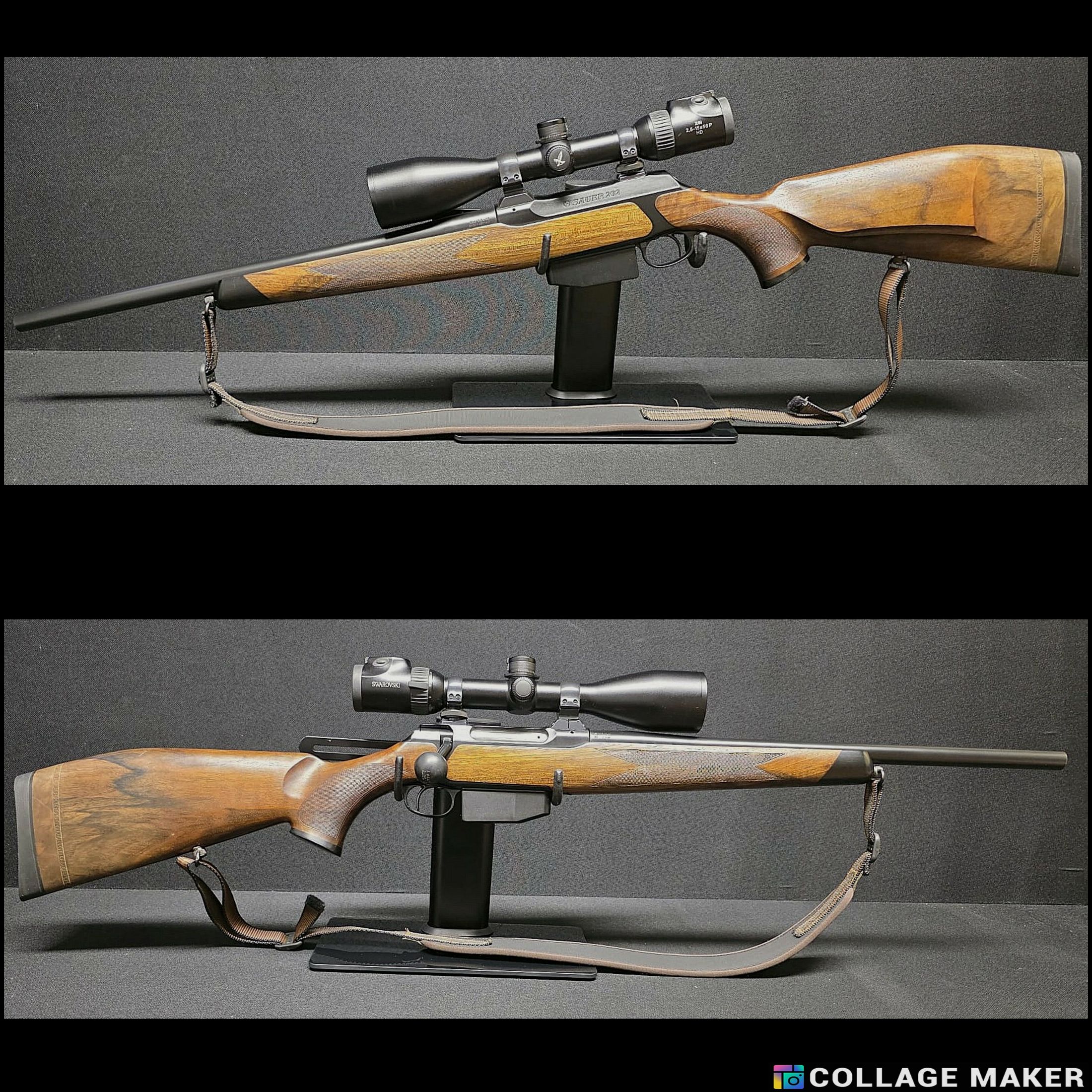 Sauer 202