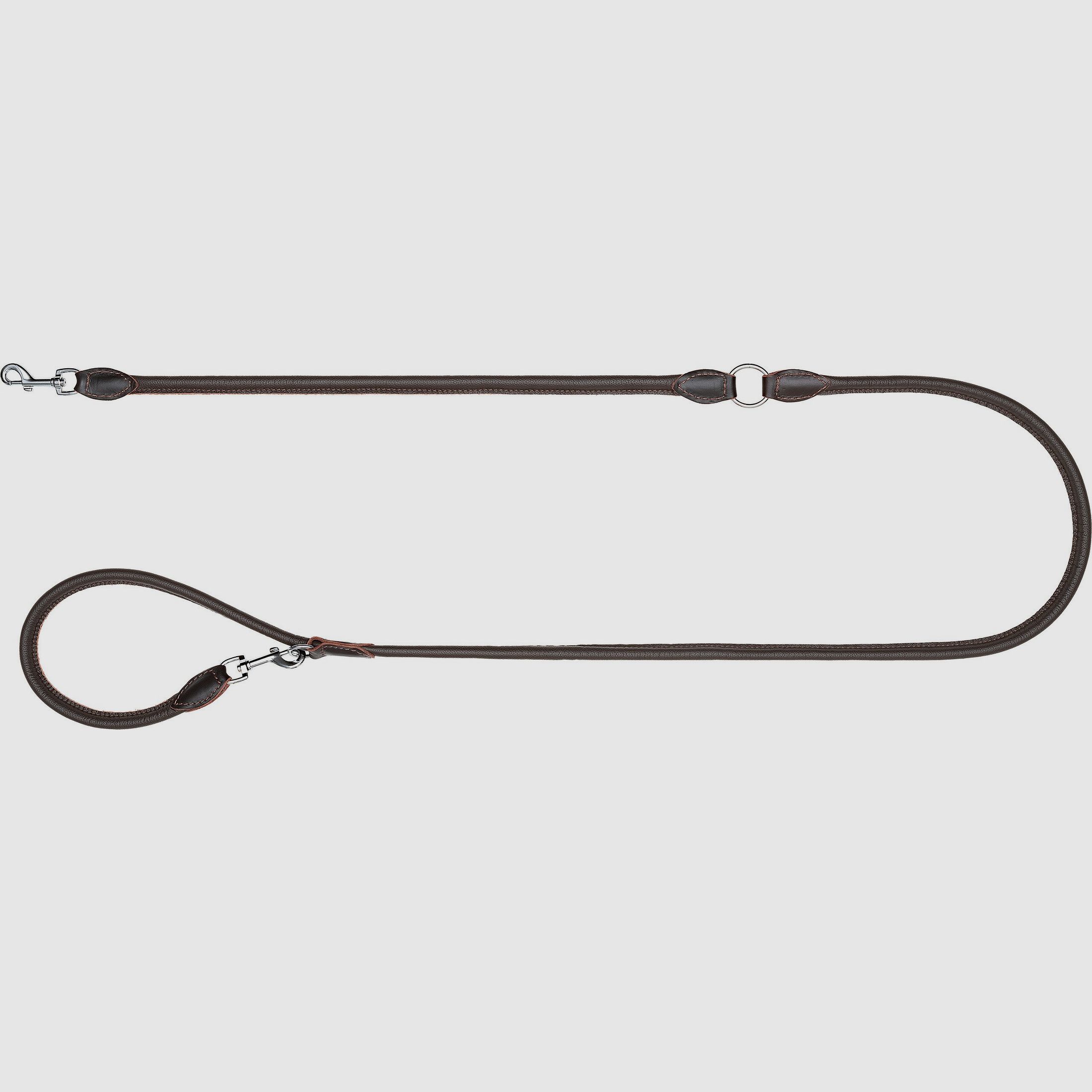 Blaser Hundeleine Leder