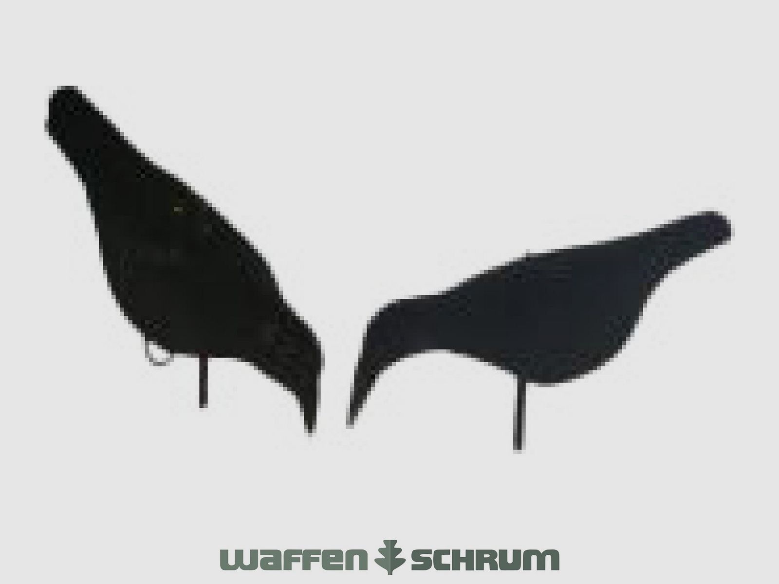 Halbschalen-Lockkrähe beflockt