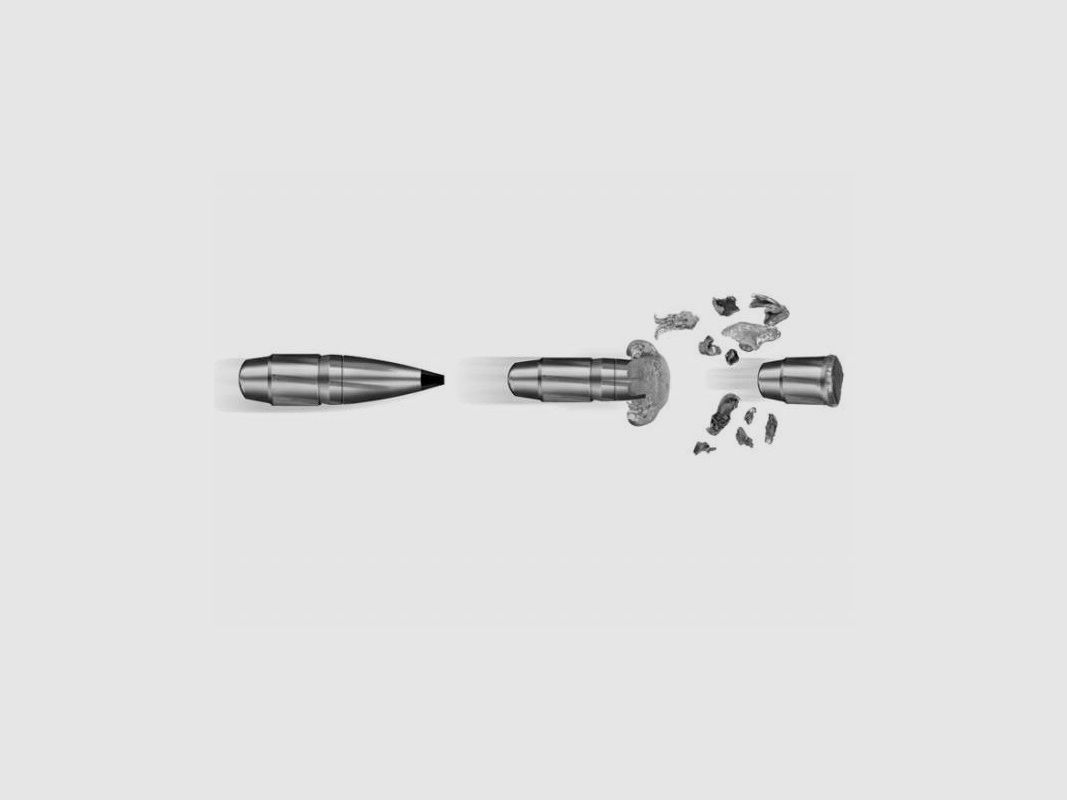 RWS 30-06 Sprg. Speed Tip Professional 165gr, afbeelding 2 van 2