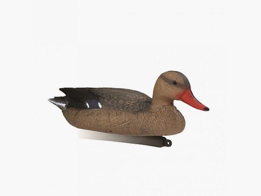 APPELANT STEPLAND STEPLAND COLVERT FEMELLE