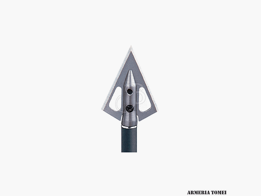 CARBON EXPRESS – JAGDSPITZE NATIV 100GR 3 ST.