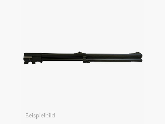 Blaser WL 95