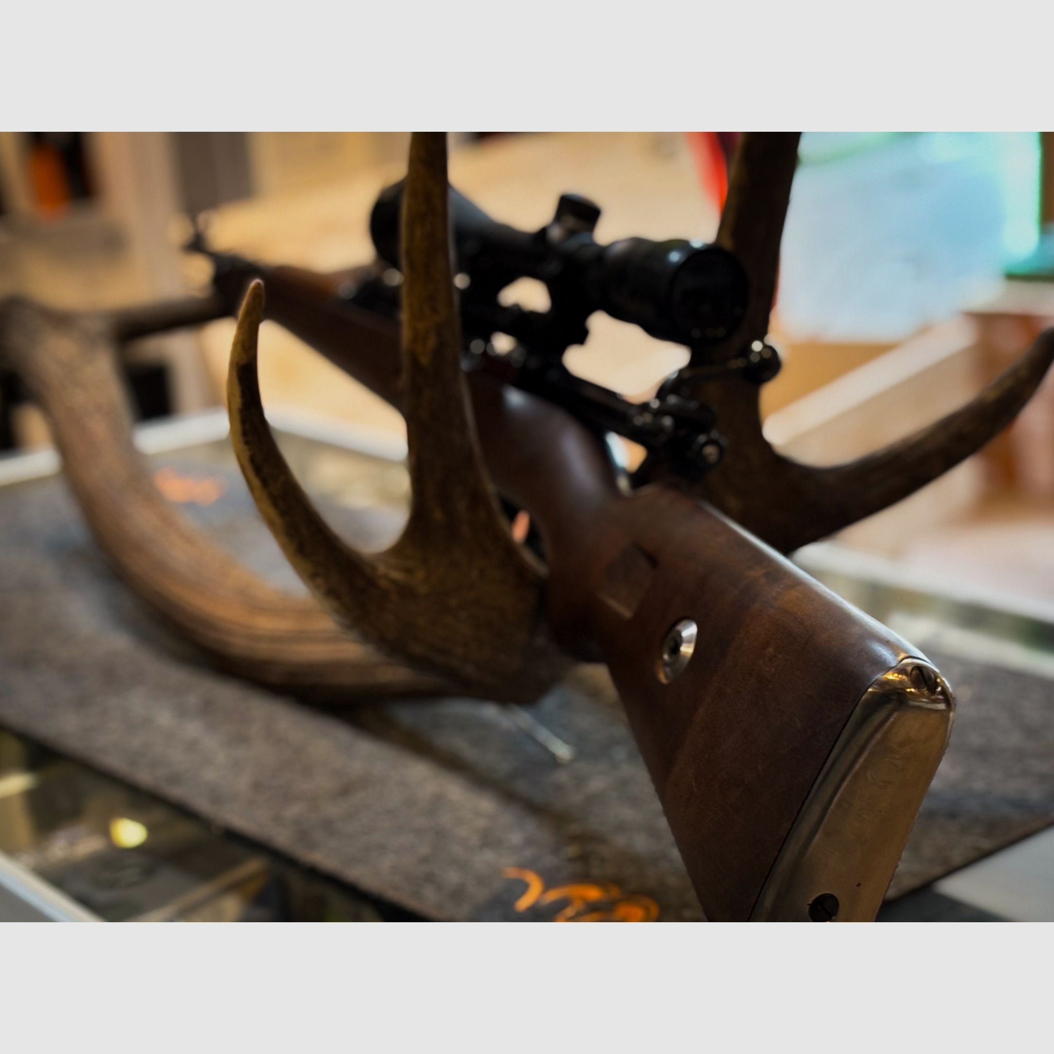 Mod. 98 