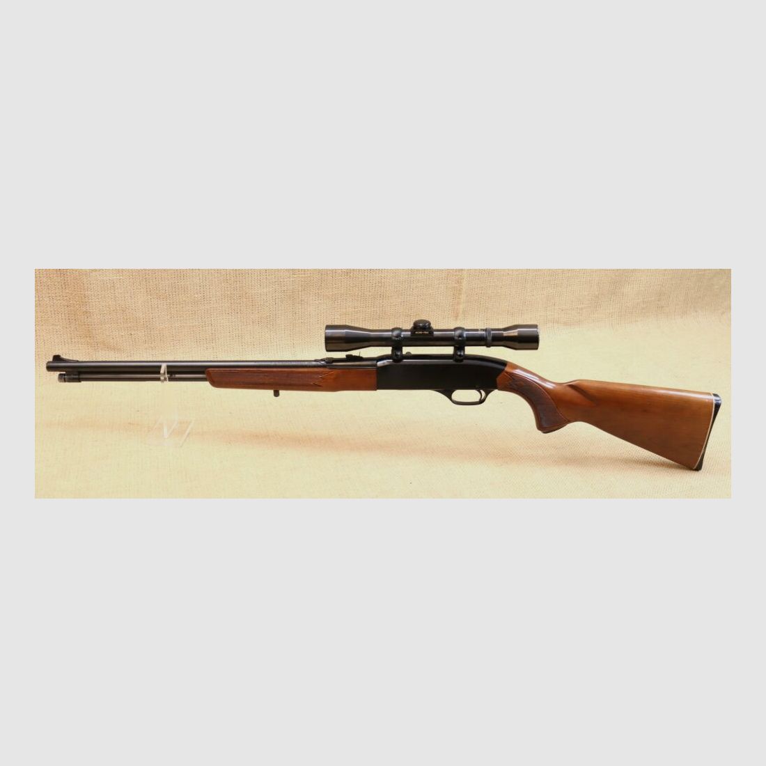Fusil semi-automatique Winchester 290 .22lr
