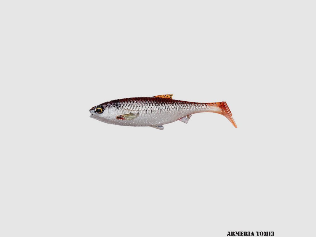 SAVAGE GEAR – 3D RIVER ROACH 5g 8cm Smelt