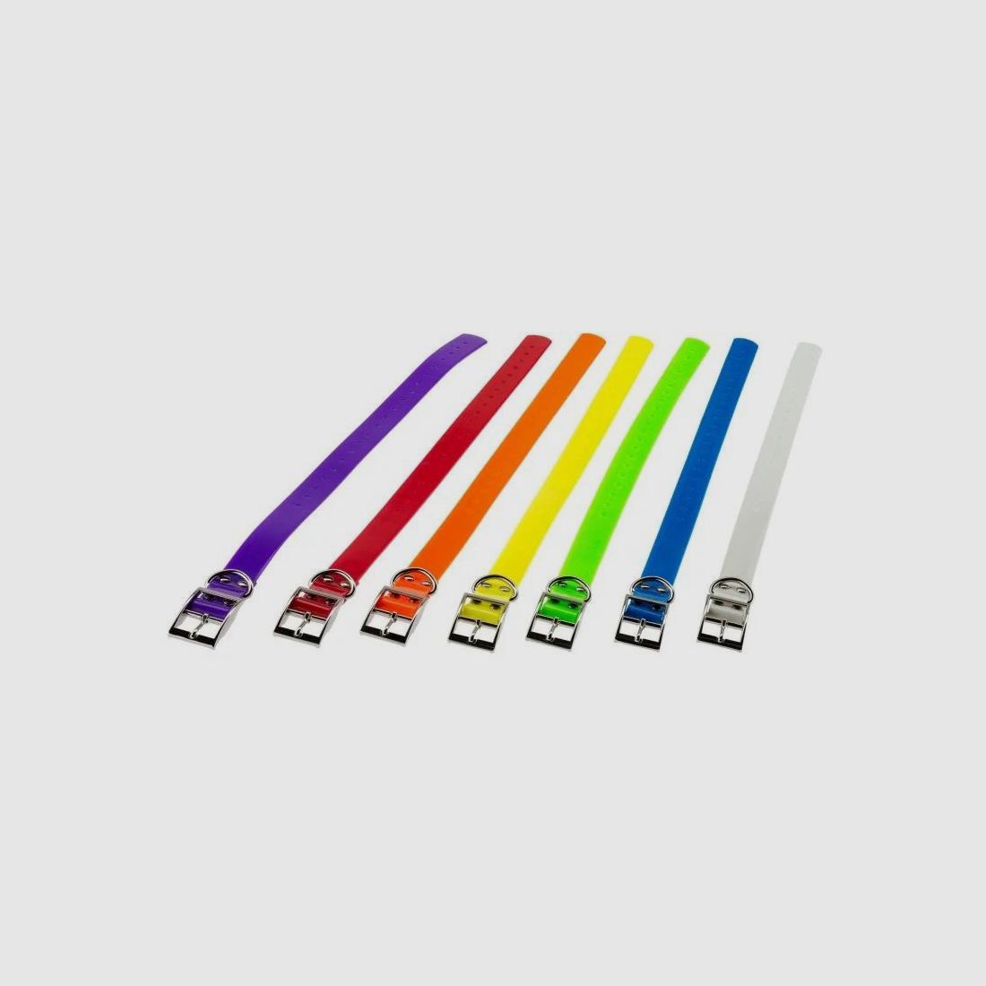 Halsband für Hunde Country 2,5 cm Polyurethan Lila - Widerstandsfähig und Bequem - Ideal für Jagd und Spaziergang, Bild 1 von 5