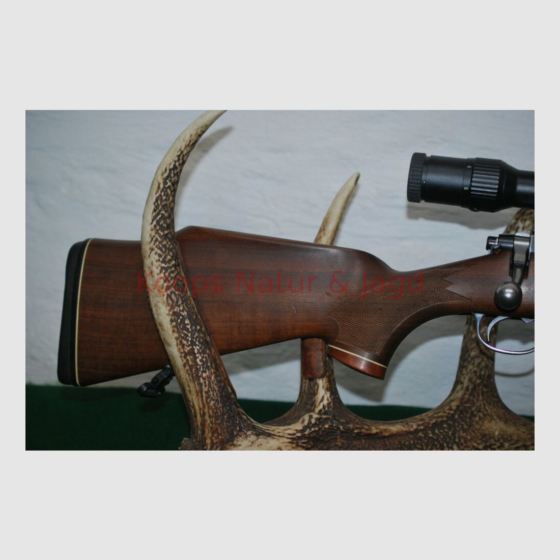 Tikka M 55