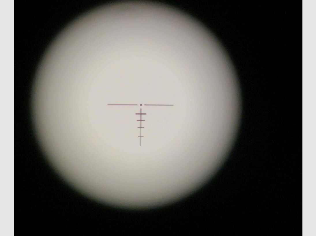Merkel SR1 Jagd mit Steiner M536