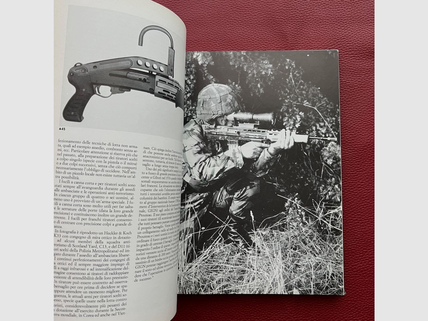 Wapens van de Elite Eenheden – G. Markham – Fratelli Melita Editori, afbeelding 8 van 15
