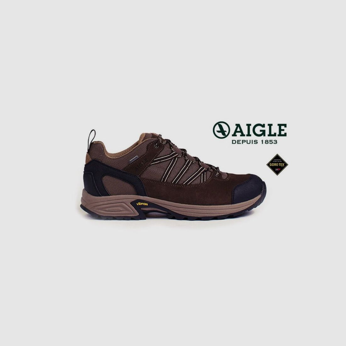 Aigle Halbschuh Mooven GTX Herren 39