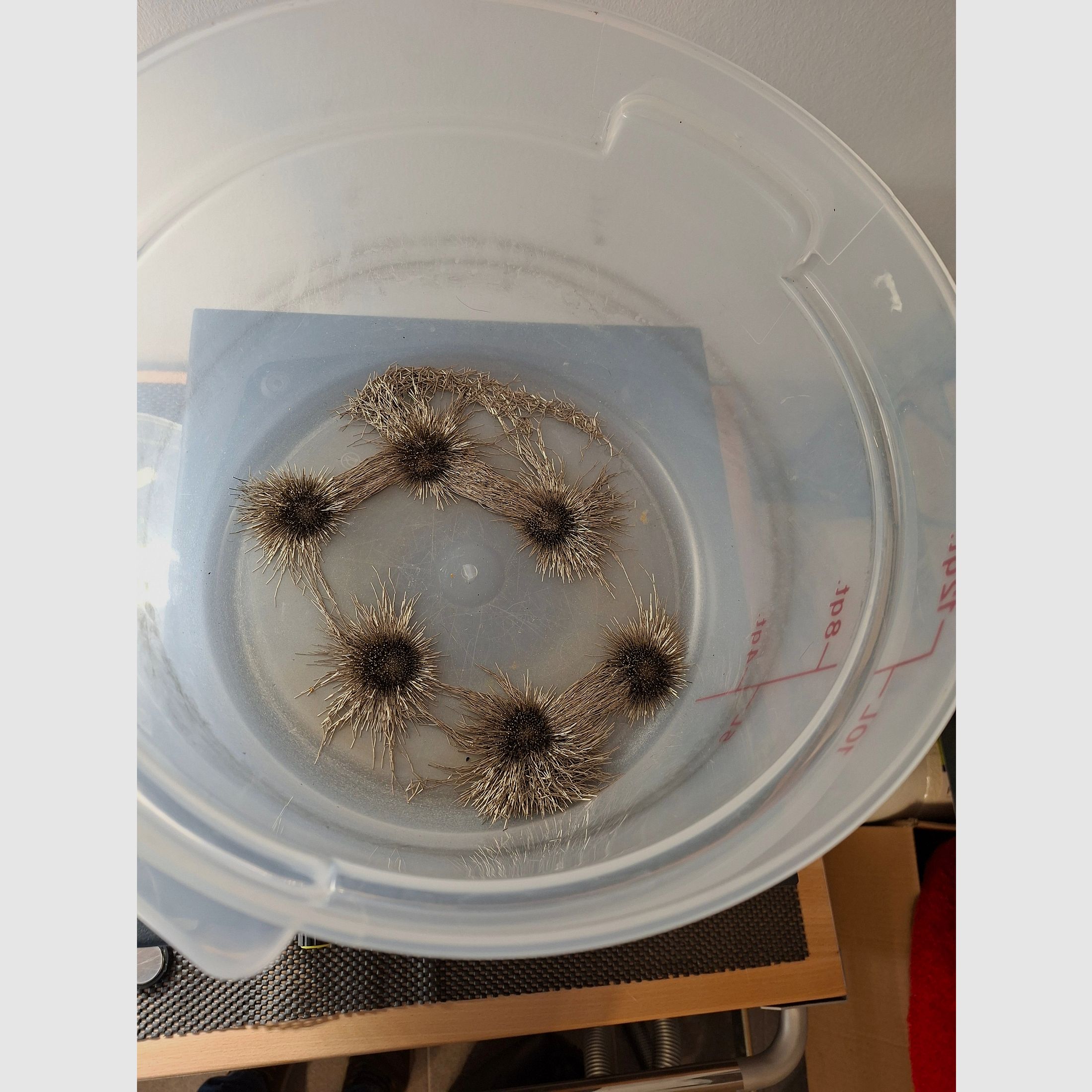 Macchina per lavare le capsule LEM Deluxe di ST