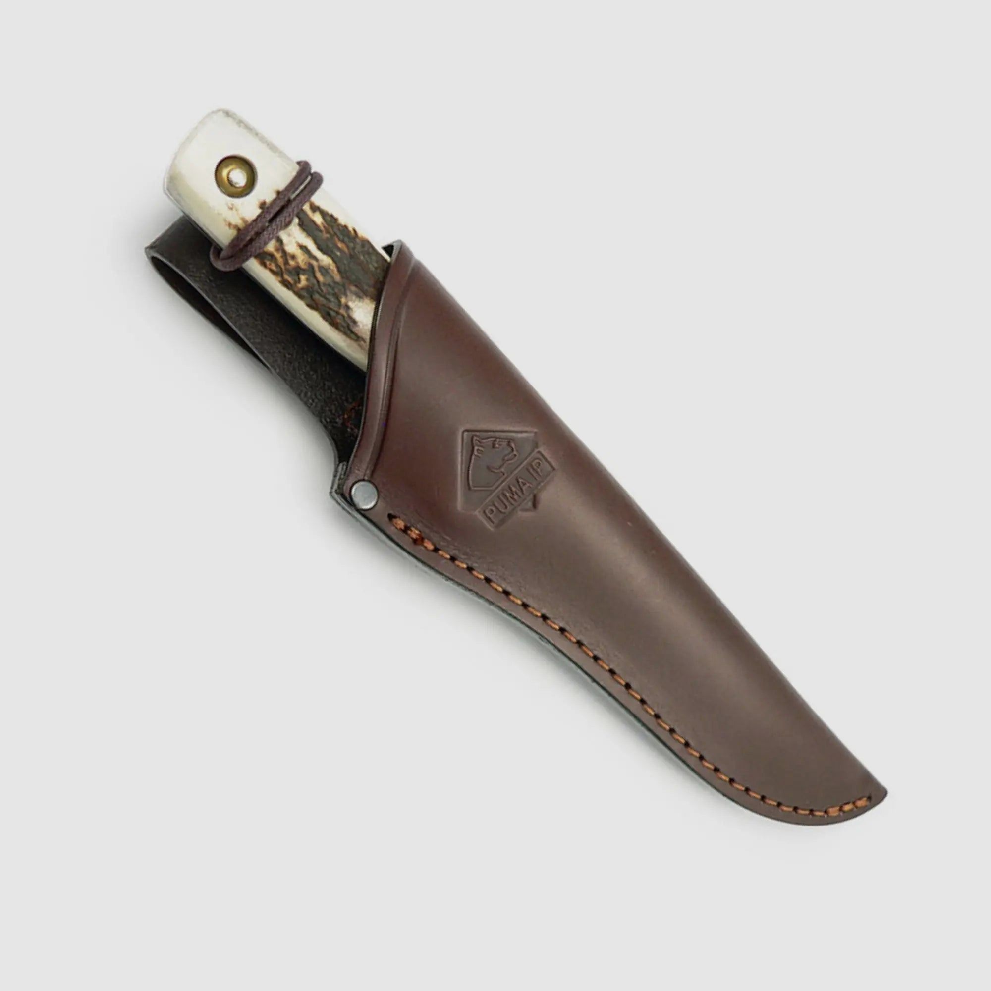 PUMA IP fallow deer, stag