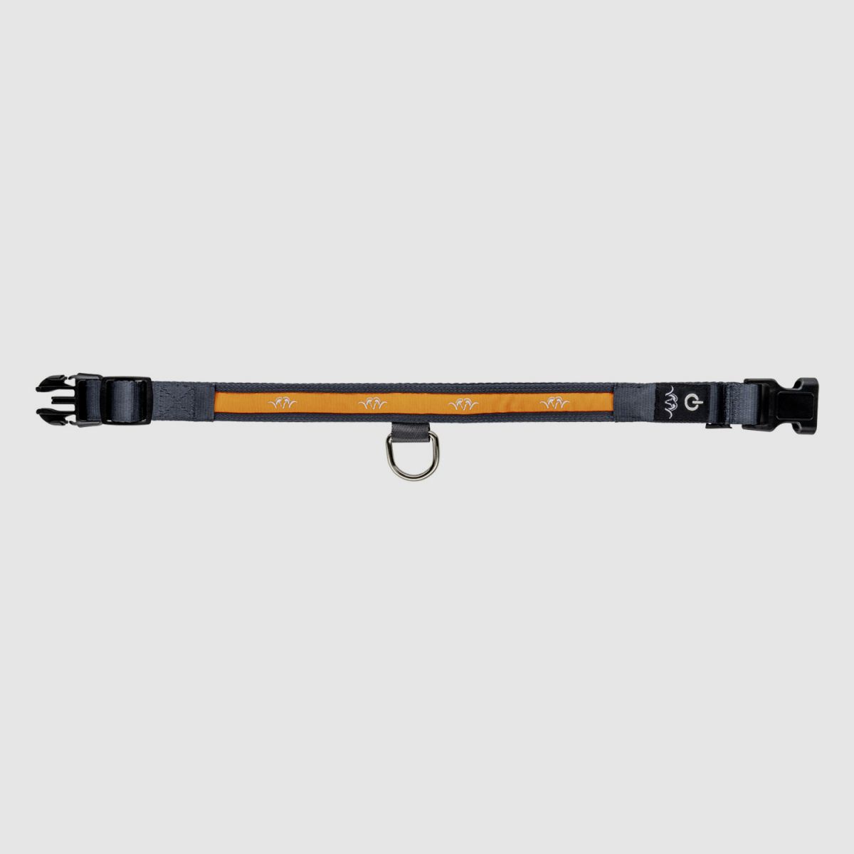 BLASER Halsband LED