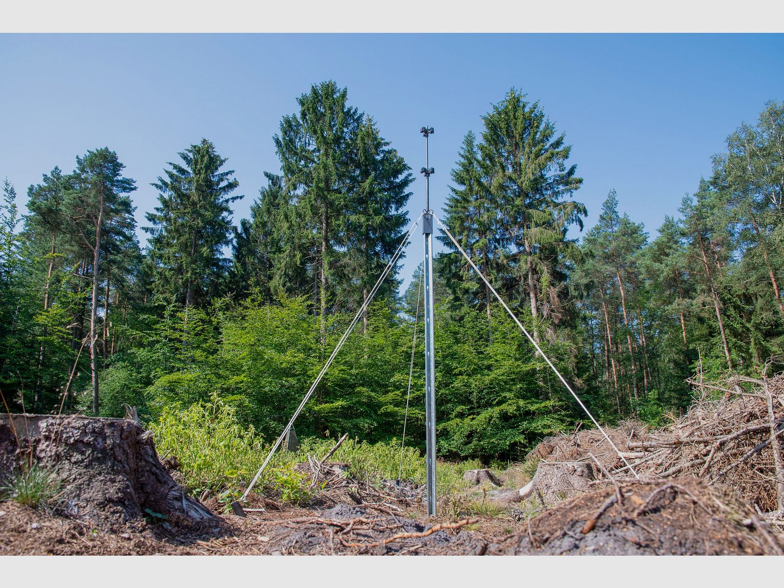 Slot trap stand, star-shaped