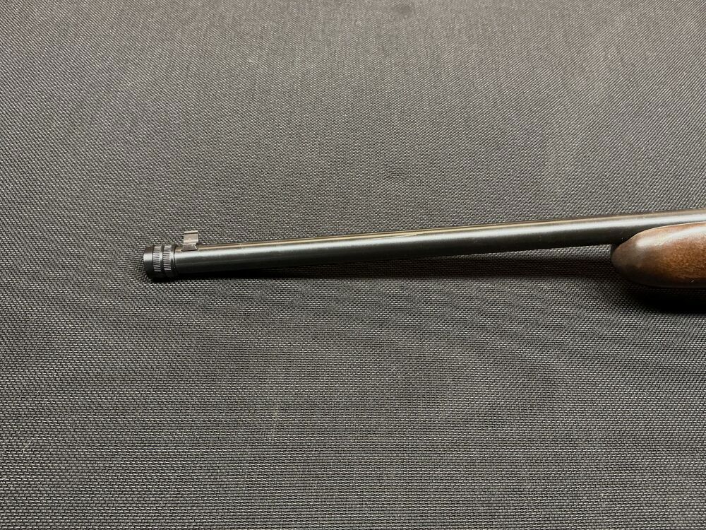 Lakefield sin .22lr, imagen 7 de 10