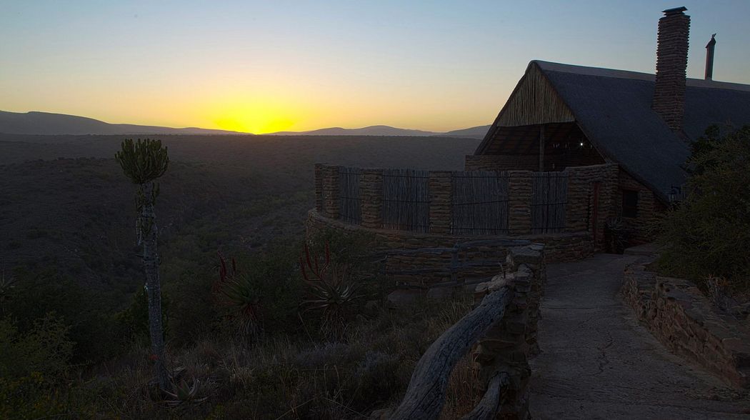 Das erste Mal nach Afrika? Fahrt zu Frontier Safaris ans Eastern Cape...