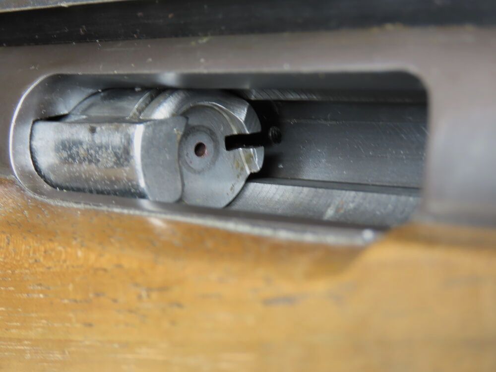 Musgrave Long Range con canna Palma!