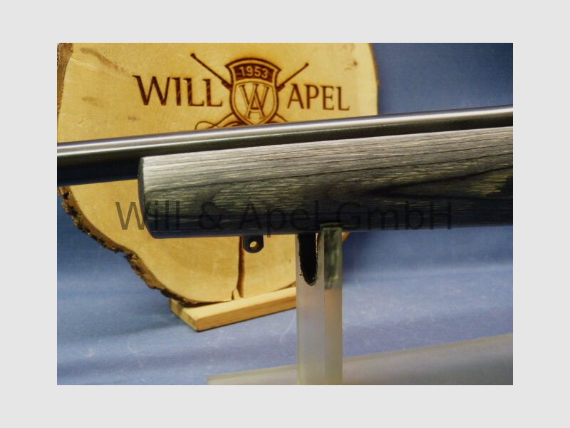 Sauer & Sohn Sauer 100